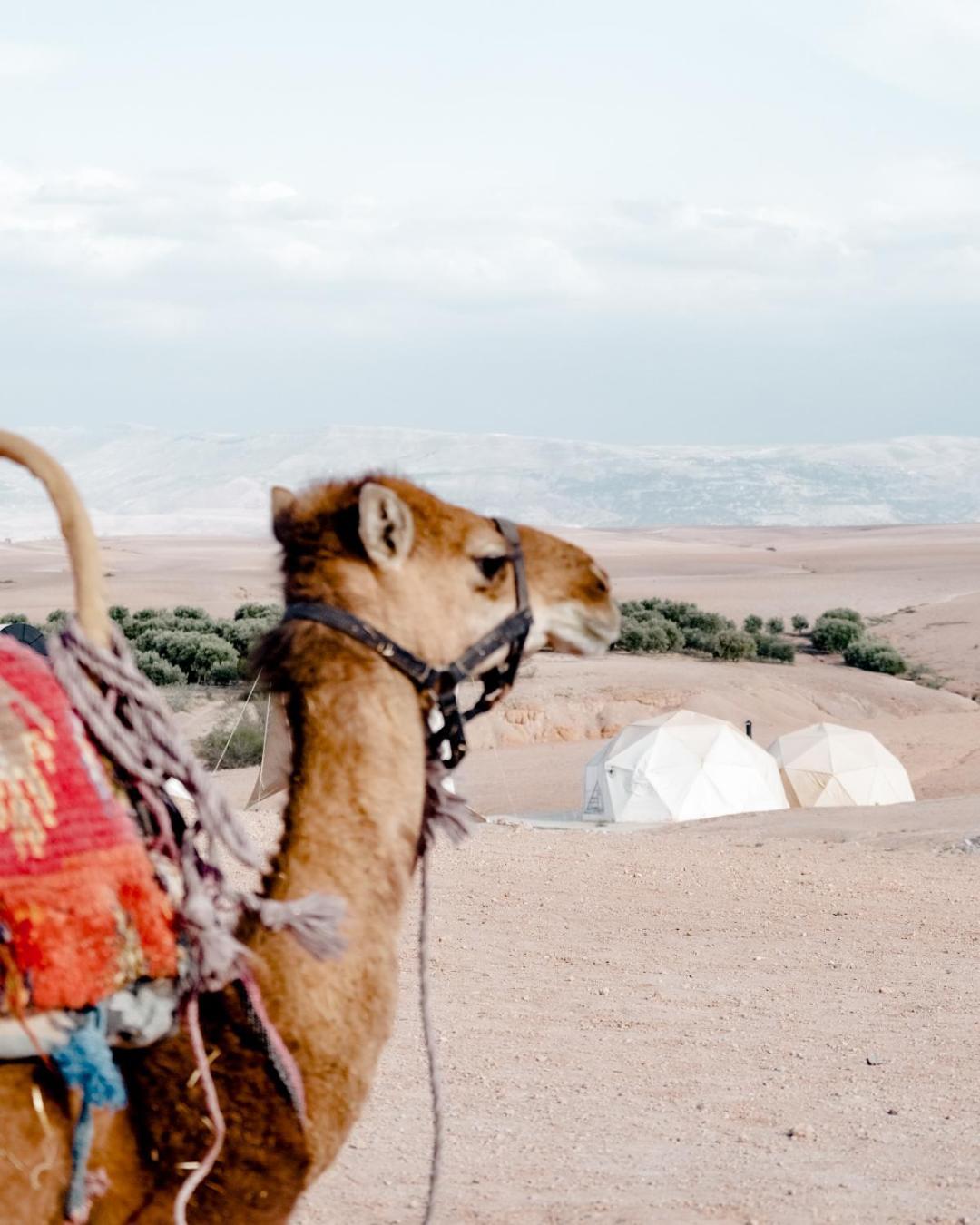 Emeraude Camp Agafay El Karia 外观 照片